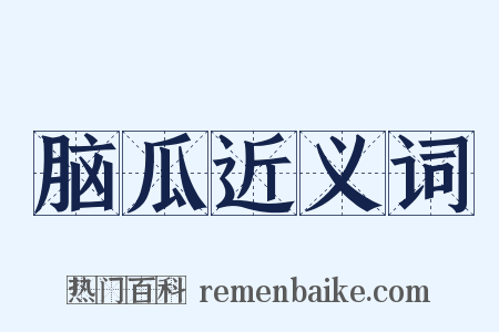 脑瓜近义词是什么意思的图片